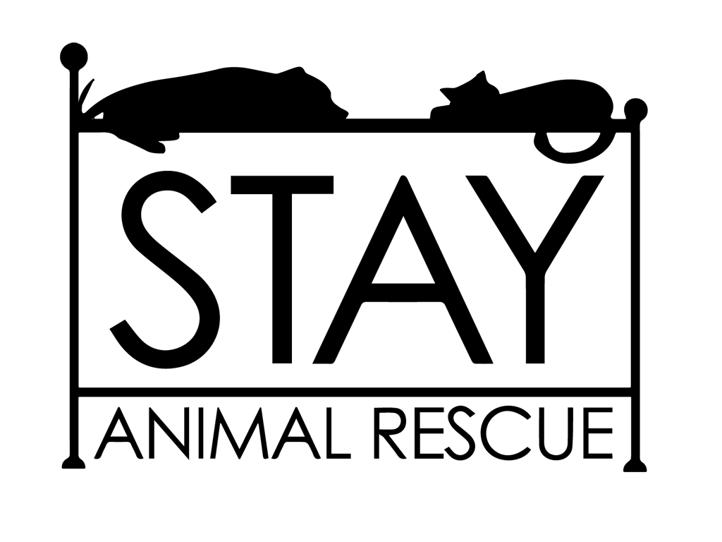 Stay Animal Rescue